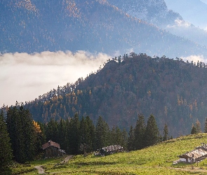 Mgła, Domy, Las, Droga, Góry