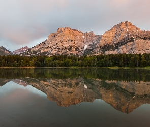 Alberta, Odbicie, Jezioro, Kanada, Drzewa, Góry, Wedge Pond