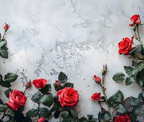 Gałązki, Róże, Kwiaty, Czerwone