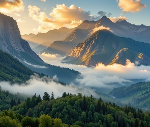 Las, Mgła, Góry, Opadająca