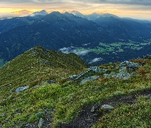 Drzewa, Zbocza, Wschód słońca, Góry