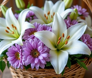 Kwiaty, Kosz, Lilie, Białe, Fioletowe, Astry