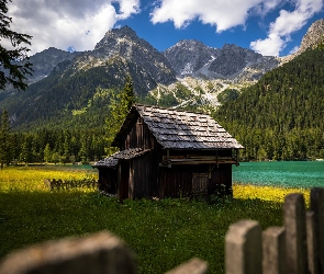 Dom, Polana, Las, Ogrodzenie, Jezioro, Góry, Drzewa