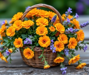 Pomarańczowe, Kwiaty, Koszyk