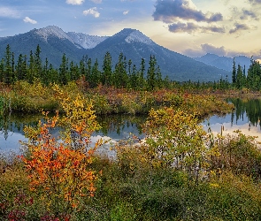 Alberta, Jezioro, Kanada, Góry, Drzewa, Park Narodowy Banff, Jesień, Vermilion Lake