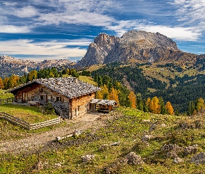 Włochy, Ogrodzenie, Drzewa, Kamienie, Dom, Sassolungo, Południowy Tyrol, Góry, Dolomity