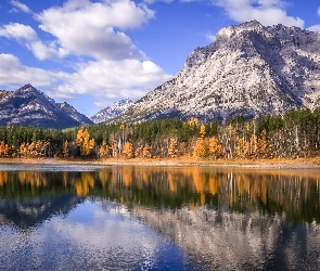 Modrzewie, Żółte, Góry, Odbicie, Drzewa, Jesień, Jezioro