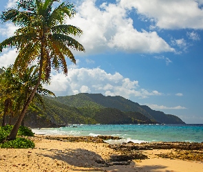 Góry, Palmy, Plaża, Morze