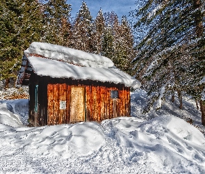 Domek, Drzewa, Śnieg, Las, Drewniany