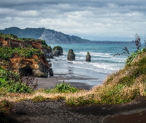 Roślinność, Drzewa, Wybrzeże, Chmury, Plaża, Morze, Skały