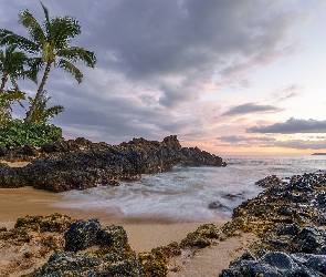 Chmury, Ocean, Kamienie, Wybrzeże, Palmy, Morze