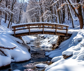 Drewniany, Ośnieżony, Las, Most, Rzeka, Zima, Drzewa