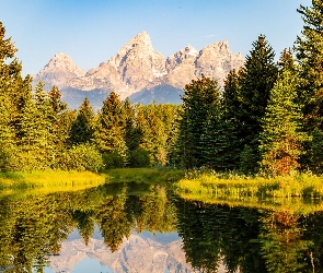 Rzeka, Drzewa, Wyoming, Odbicie, Góry, Stany Zjednoczone, Park Narodowy Grand Teton