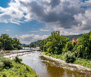 Wzgórza, Drzewa, Rzeka, Most