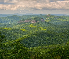 Stany Zjednoczone, Looking Glass Rock, Skała, Karolina Północna, Appalachy, Góry, Zielone, Wzgórza, Zalesione, Drzewa