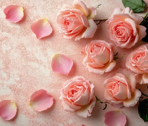 Róże, Tło, Listki, Płatki, Różowe