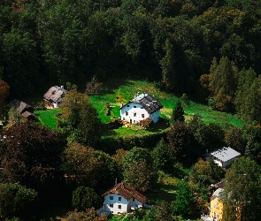 Domy, Z lotu ptaka, Drzewa