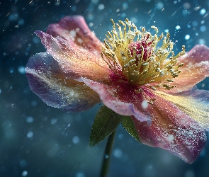 Grafika AI, Śnieg, Kolorowy, Kwiat