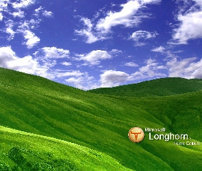 Longhorn, wzgórza, chmury, trawa, niebo, łąka