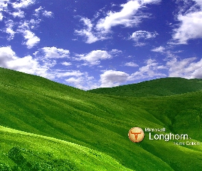 chmury, niebo, wzgórza, Longhorn, łąka, trawa