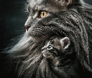 Grafika AI, Kociak, Koty, Kotka