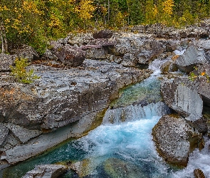Potok, Skały, Jesień, Las