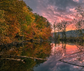 Zachód słońca, Jesień, Staw, Drzewa