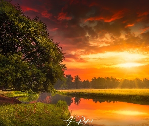 Rzeka, Hrabstwo Essex, Wschód słońca, Anglia, Dedham, Chmury, River Stour, Drzewo, Pola