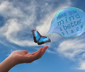 Motyl, Dłoń, Niebieski