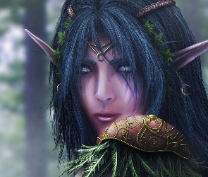 Nocny Elf, World Of Warcraft