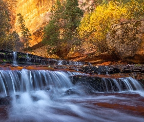 Drzewa, Skały, Stan Utah, Rzeka Virgin River, Kanion Zion Narrows, Stany Zjednoczone, Park Narodowy Zion