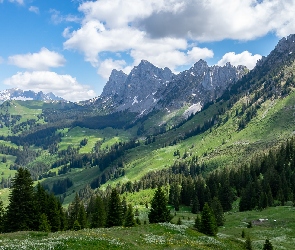 Chmury, Wzgórza, Góry, Drzewa