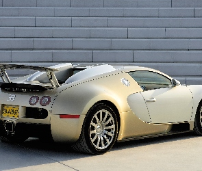 Bugatti, Tył, Złoty