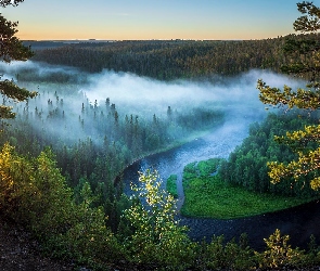 Gmina Kuusamo, Sosny, Rzeka Kitkajoki, Finlandia, Drzewa, Las, Mgła
