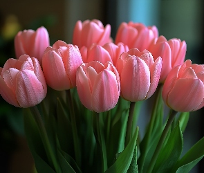 Tulipany, Kwiaty, Różowo-koralowe
