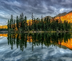 Drzewa, Chmury, Park Narodowy Jasper, Kanada, Góry, Jezioro Pyramid Lake