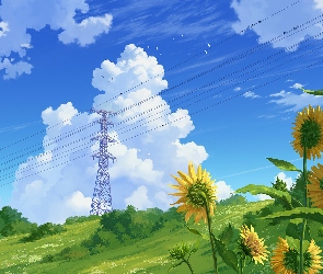 Linia elektroenergetyczna, Kwiaty, Budowla, Słupy, Niebo, Napowietrzna, Chmury, Słoneczniki