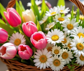 Tulipany, Koszyk, Wiklinowy, Margerytki, Kwiaty