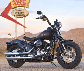 Harley Davidson Softail Cross Bones