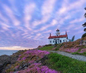 Stany Zjednoczone, Crescent City, Skały, Kalifornia, Battery Point Lighthouse, Latarnia morska, Droga, Drzewo, Morze, Kwiaty