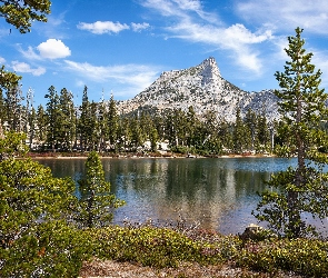 Jezioro, Kalifornia, Cathedral Peak, Stany Zjednoczone, Drzewa, Szczyt, Cathedral Lake, Park Narodowy Yosemite, Góry
