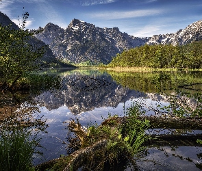 Odbicie, Drzewa, Góry, Austria, Jezioro, Almsee