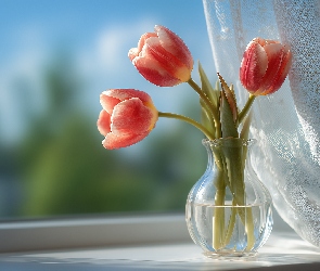 Tulipany, Grafika AI, Firanki, Okno, Trzy