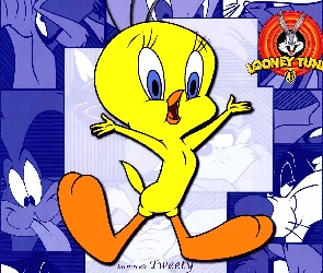 Looney Tunes, Tweety, Kanarek