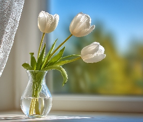 Parapet, Okno, Białe, Grafika AI, Wazon, Trzy, Tulipany