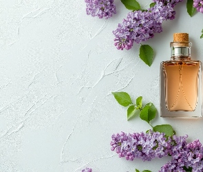 Białe, Perfumy, Bez, Tło, Kwiaty, Gałązki, Fioletowe