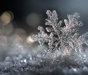 Grafika AI, Zima, Śnieżynka, Śnieg