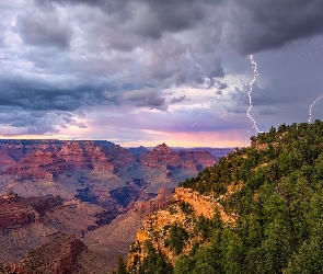 Kanion, Pioruny, Skały, Park Narodowy Wielkiego Kanionu, Arizona, Grand Canyon, Stany Zjednoczone, Drzewa
