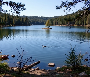 Drzewa, Rośliny, Kamienie, Łódki, Jezioro