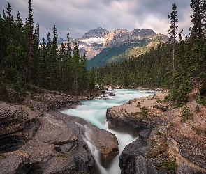 Mistaya River, Alberta, Kanada, Rzeka, Skały, Drzewa, Canadian Rockies, Las, Góra, Mount Sarbach, Góry, Park Narodowy Banff